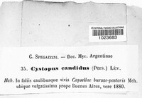 Image Associated With the Occurence
